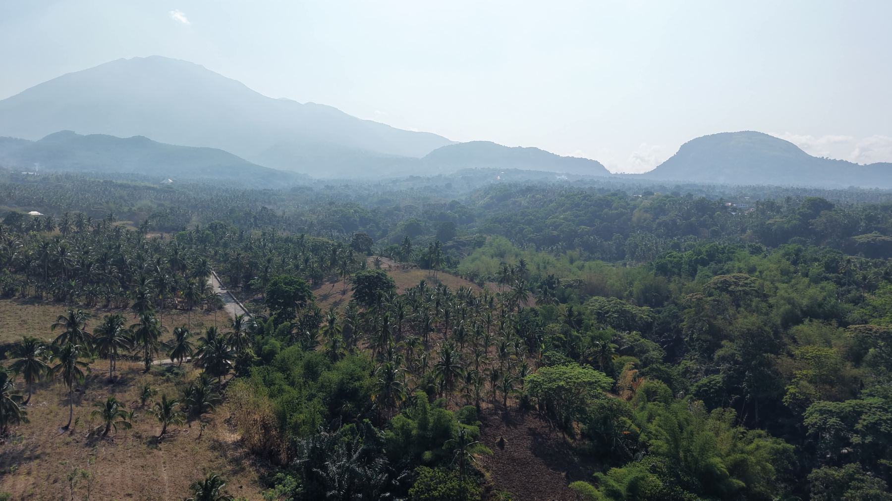 Coconut groves and mountain ridges of Dolores, Quezon at the foot of Mt. Banahaw