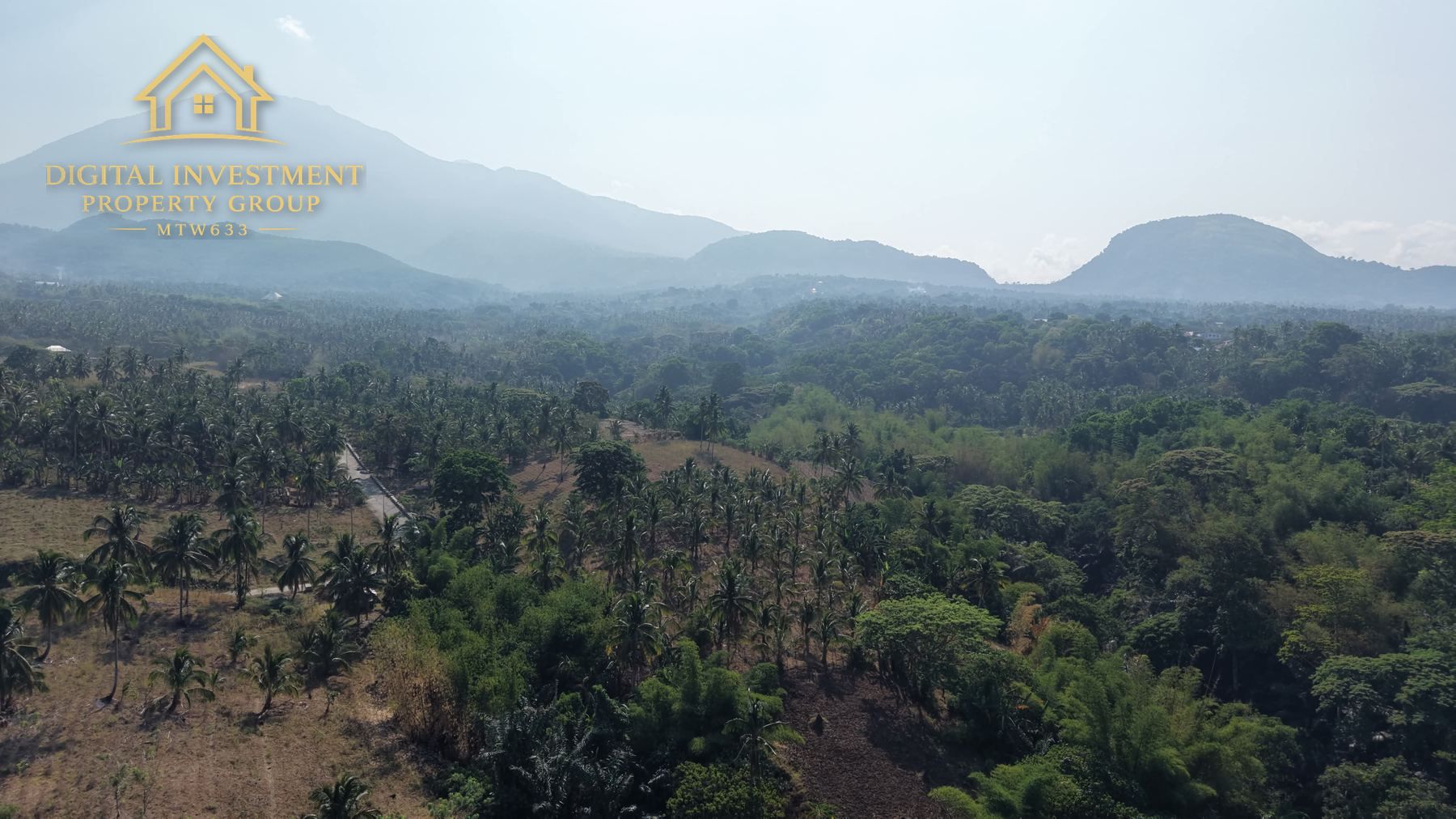 Mt. Banahaw ridge line beyond the estate