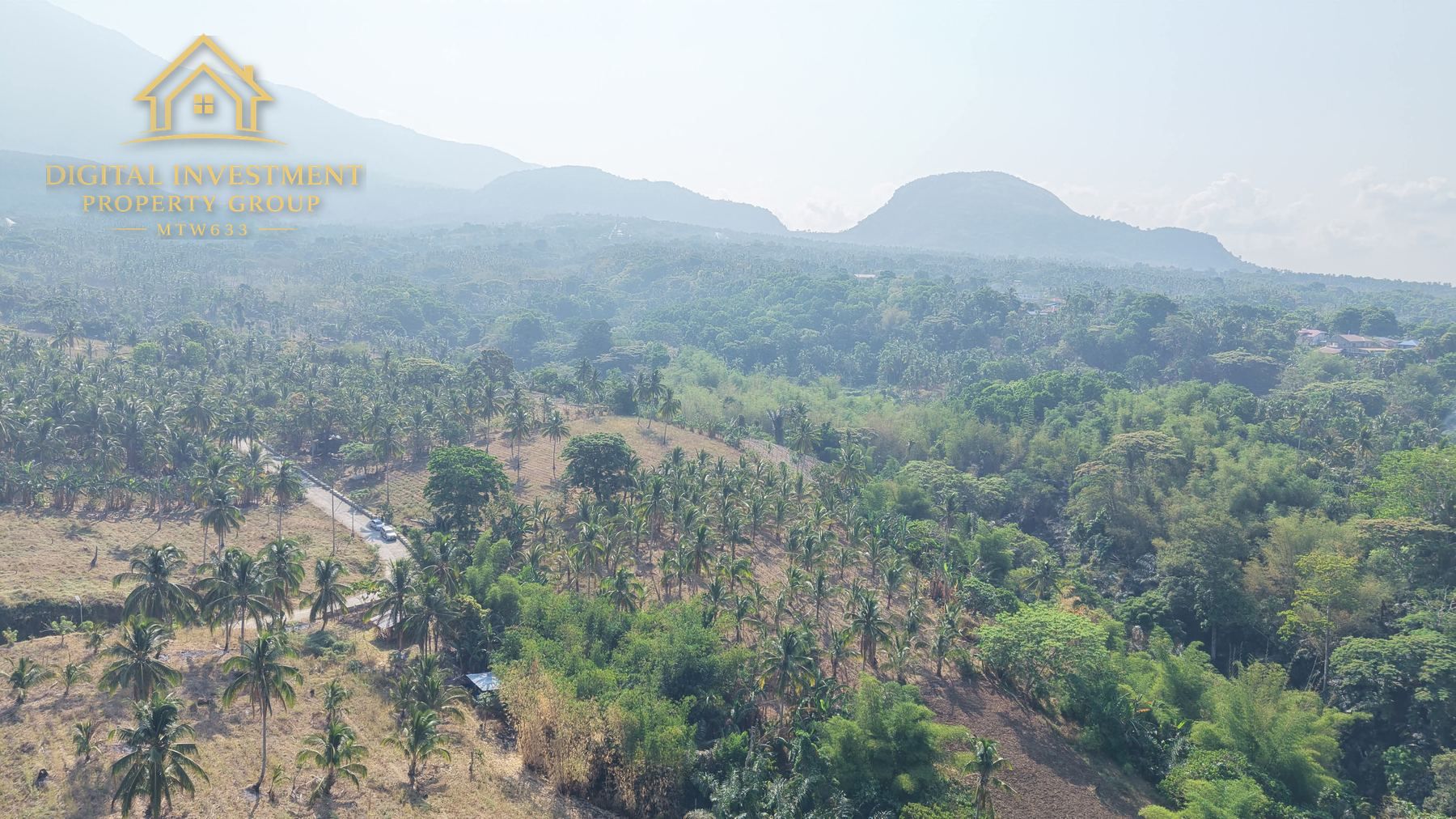 Highland terrain and vegetation on the property
