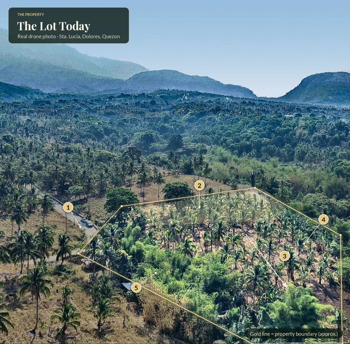Drone photo of the lot with its boundary in gold and Mt. Banahaw clear behind it